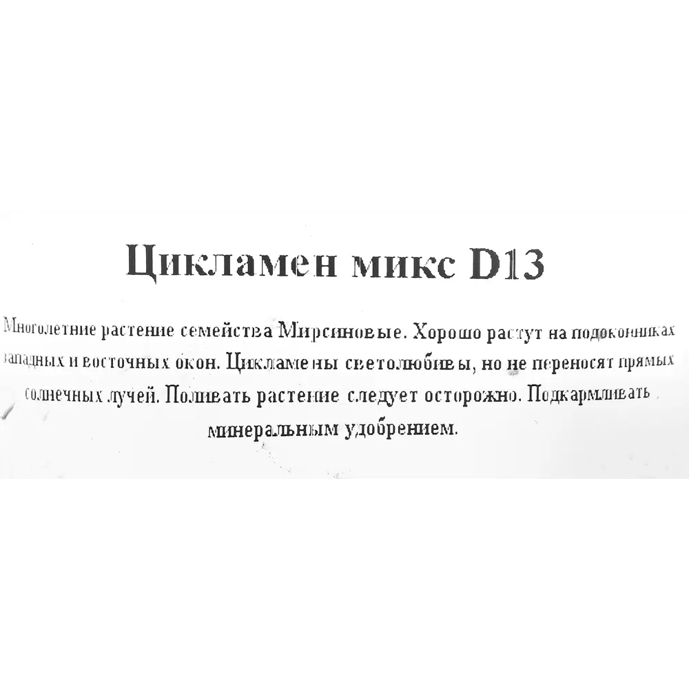 Цикламен микс d12 ✳️ купить по цене 317 ₽/шт. в Клину с доставкой в  интернет-магазине Леруа Мерлен