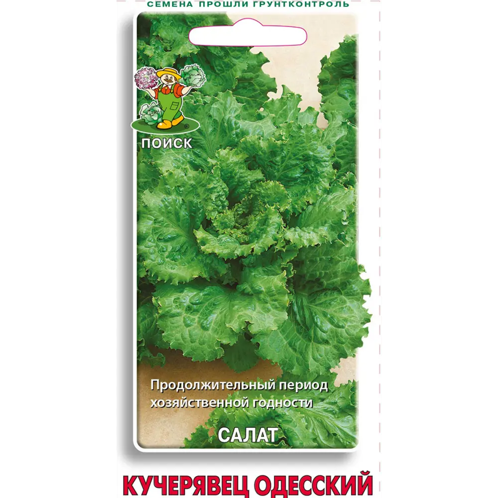 Семена Салат «Кучерявец Одесский» ✳️ купить по цене 25 ₽/шт. в  Санкт-Петербурге с доставкой в интернет-магазине Леруа Мерлен