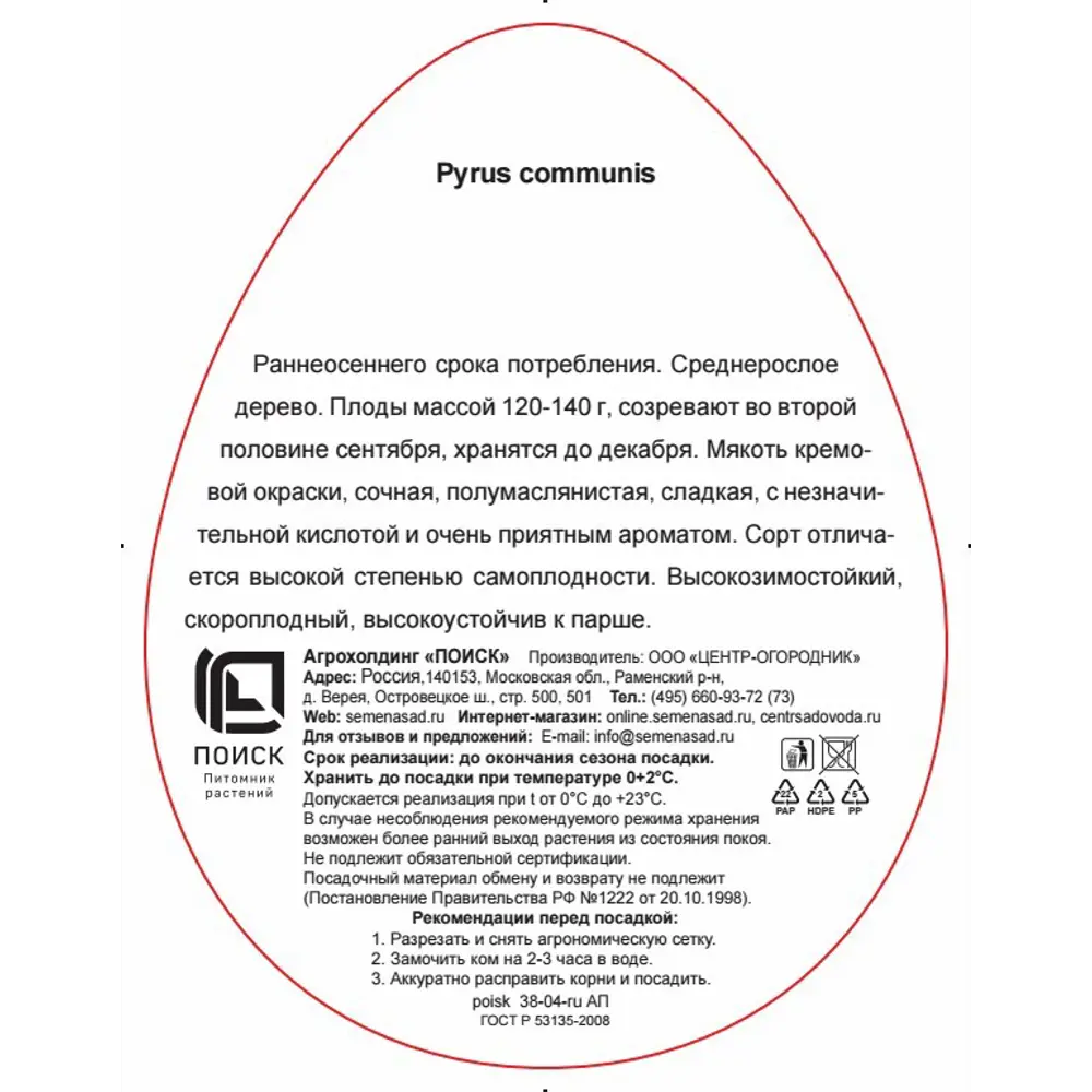 Груша Памяти Яковлева h220 см по цене 598 ₽/шт. купить в Твери в  интернет-магазине Леруа Мерлен