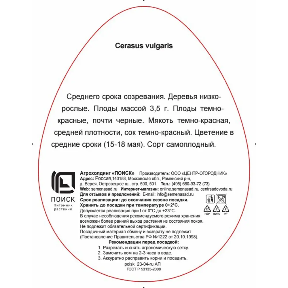 Вишня Шоколадница h220 см ✳️ купить по цене 200 ₽/шт. в Москве с доставкой  в интернет-магазине Леруа Мерлен