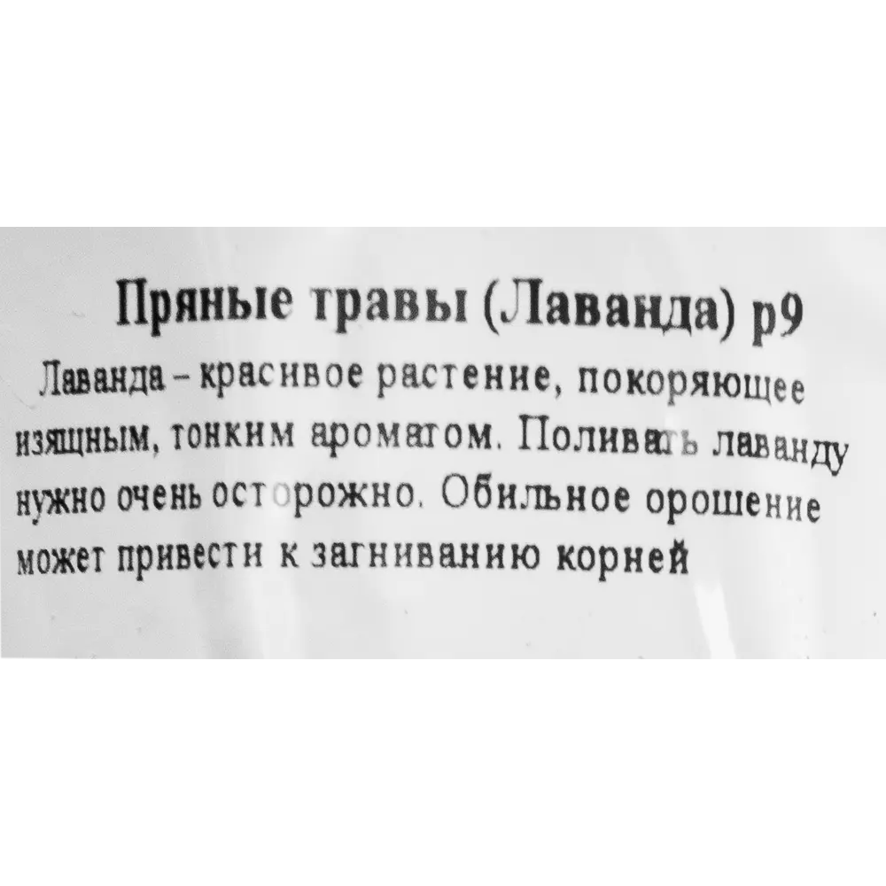 Лаванда ø9 h15 см ✳️ купить по цене 272 ₽/шт. в Волгограде с доставкой в  интернет-магазине Леруа Мерлен