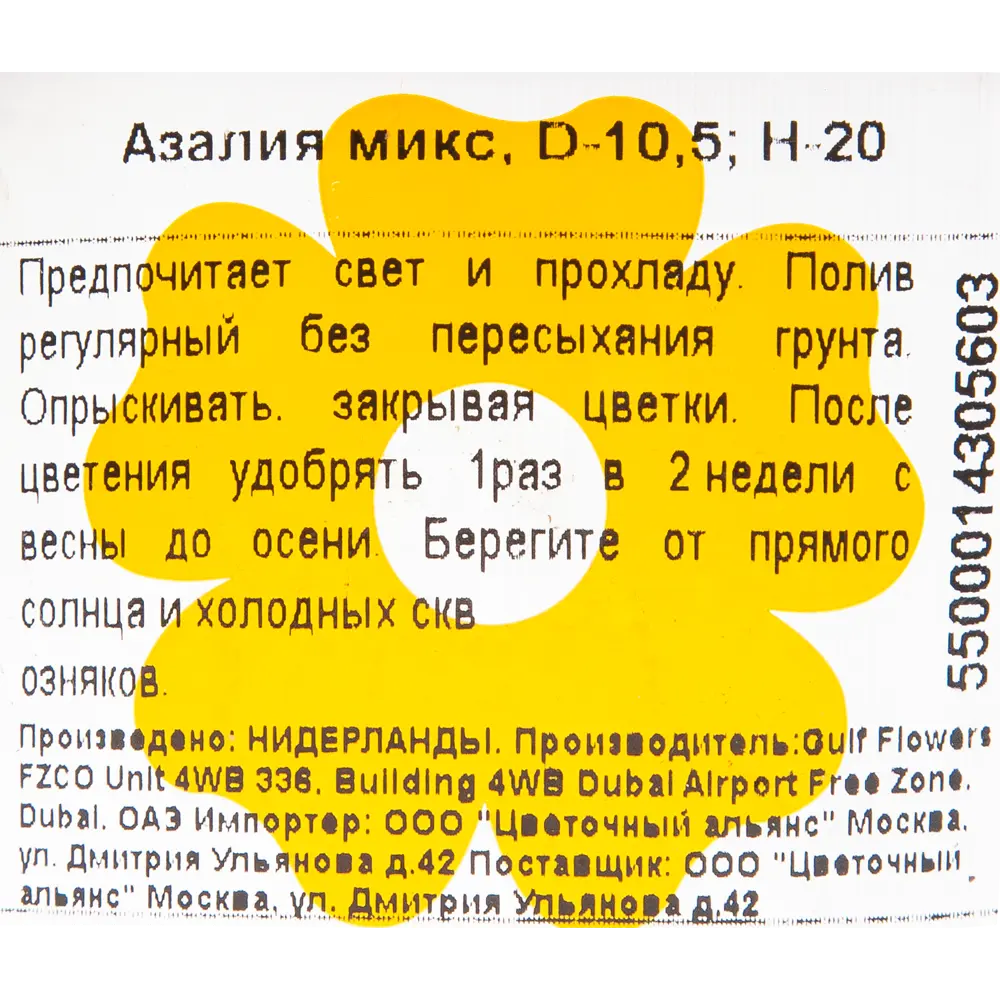 Азалия Гельмут Вогель микс D11 H15-20 ✳️ купить по цене 1555 ₽/шт. в  Новокузнецке с доставкой в интернет-магазине Леруа Мерлен