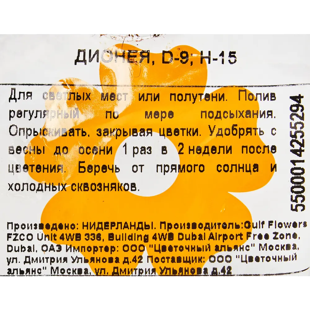 Дионея 9x15 см ✳️ купить по цене 671 ₽/шт. в Челябинске с доставкой в  интернет-магазине Леруа Мерлен