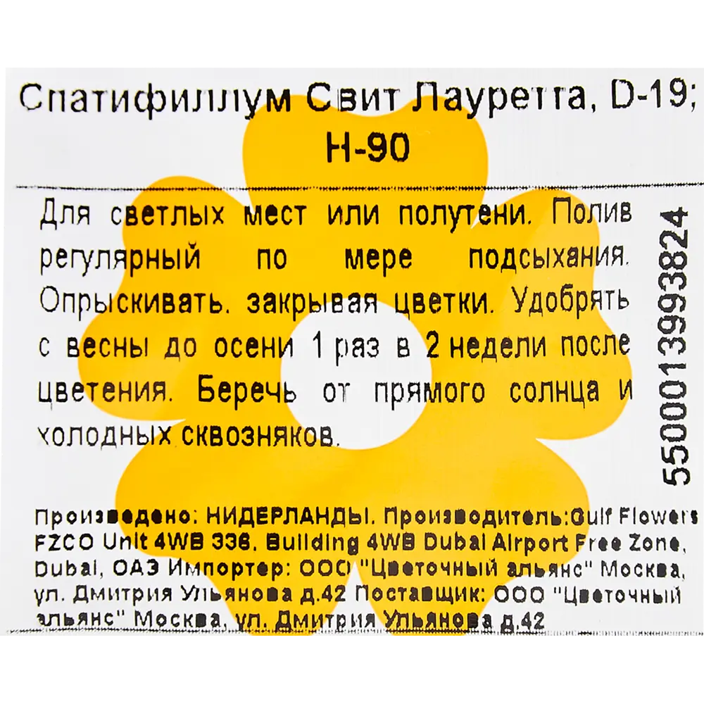 Спатифиллум Свит Лауретта D19 H70-90 см ✳️ купить по цене 2998 ₽/шт. в  Барнауле с доставкой в интернет-магазине Леруа Мерлен