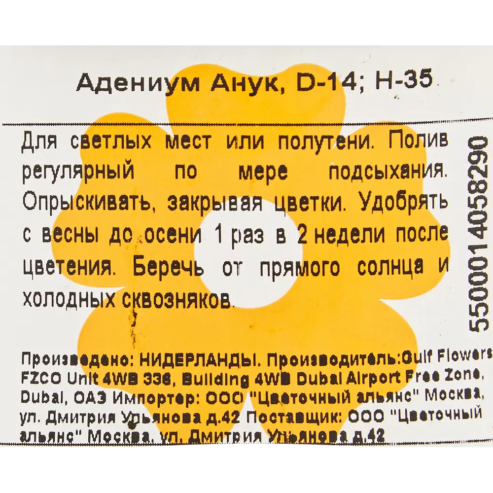 Адениум Анук 14x35 см ✳️ купить по цене 1155 ₽/шт. в Барнауле с доставкой в  интернет-магазине Леруа Мерлен