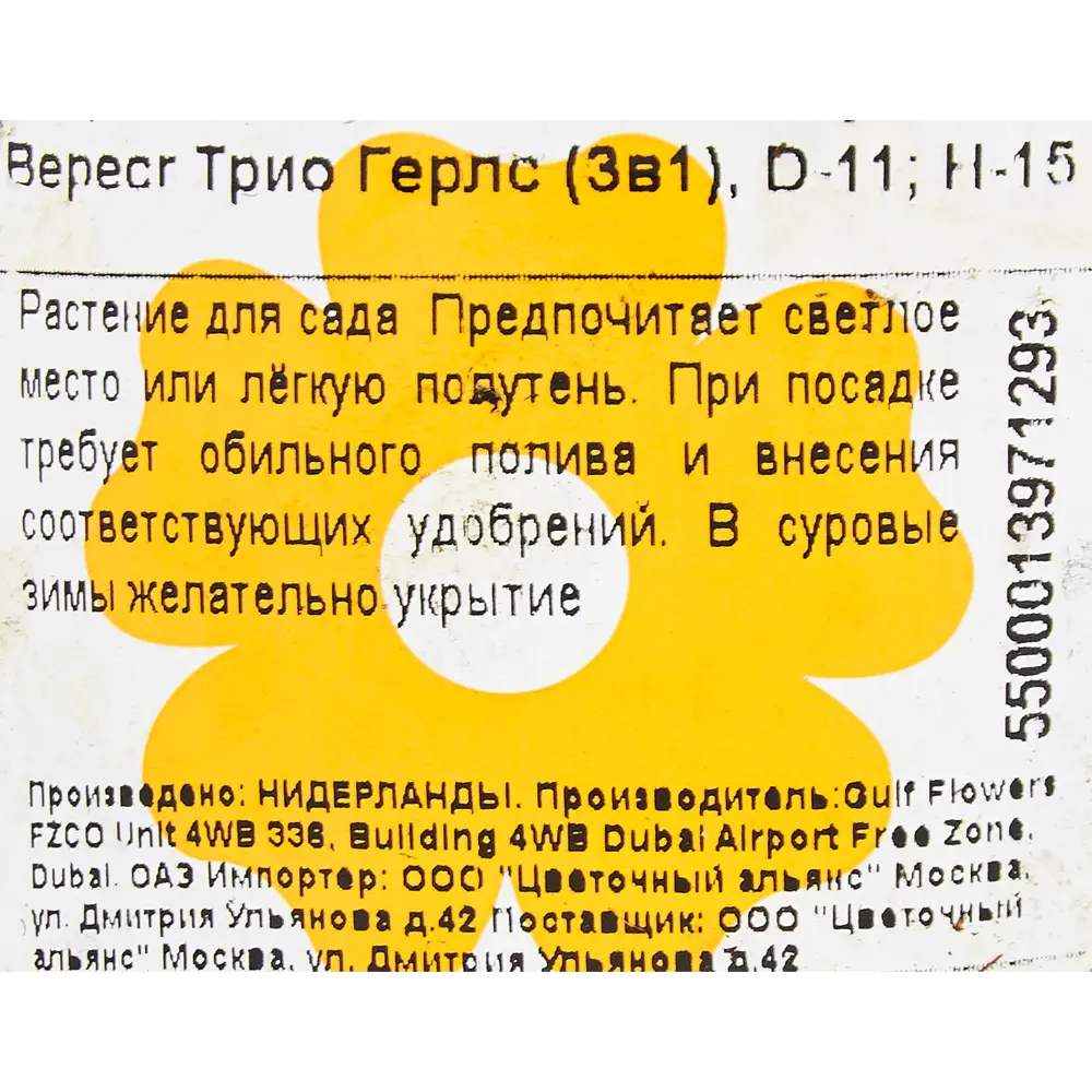 Вереск Трио Герлс 3-в-1 11x15 см ✳️ купить по цене 498 ₽/шт. в Калуге с  доставкой в интернет-магазине Леруа Мерлен