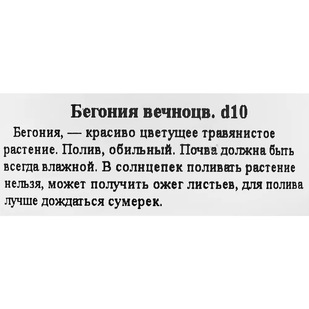 Как защитить собаку от клещей? Чем обработать собаку от клещей?