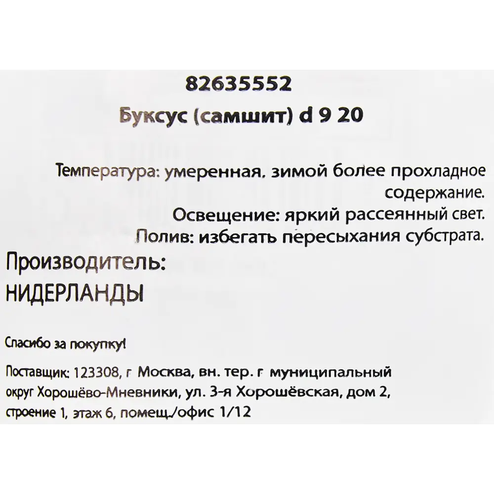 Буксус (самшит) 9x20 см ✳️ купить по цене 244 ₽/шт. в Пензе с доставкой в  интернет-магазине Леруа Мерлен