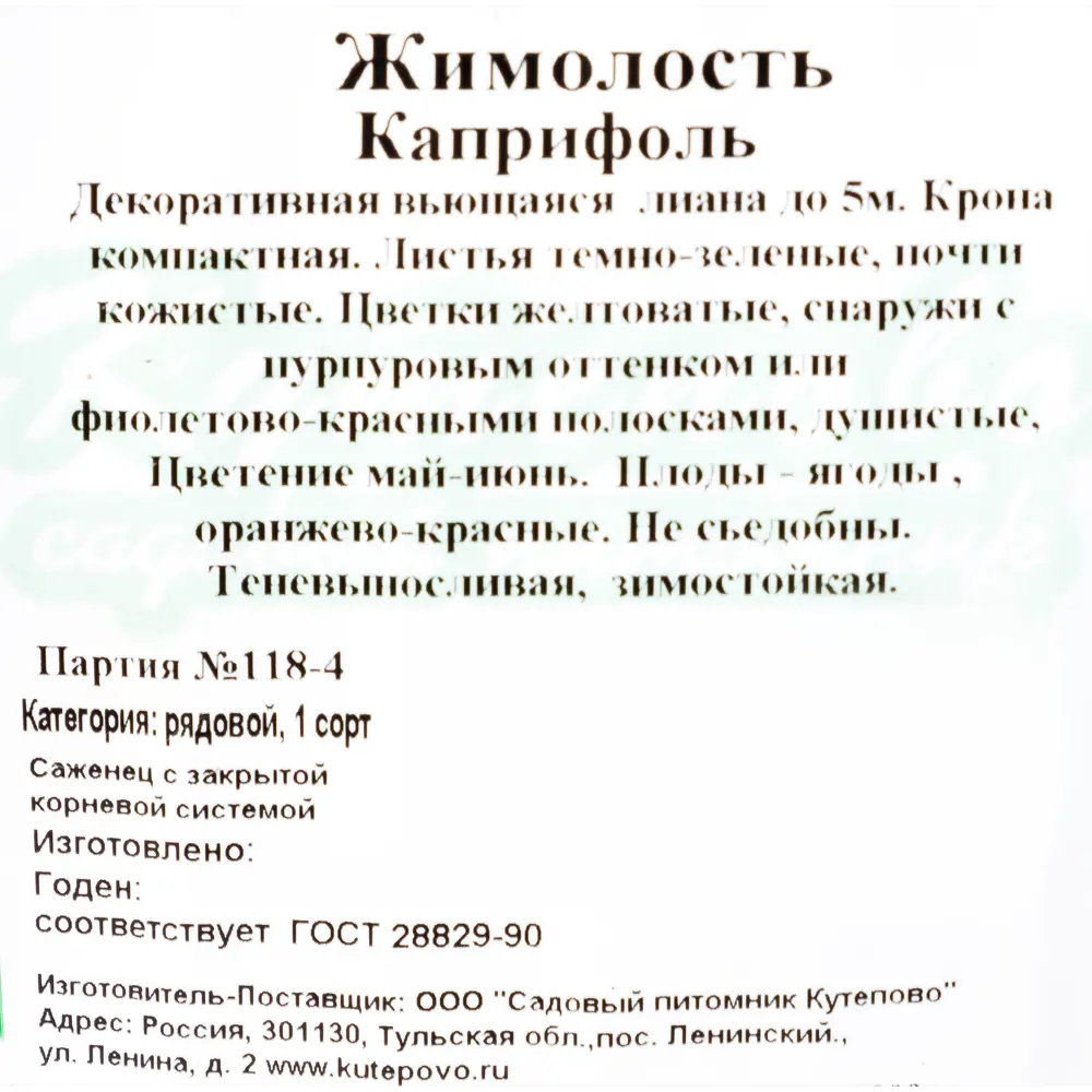 Жимолость каприфоль С2, 50 см ✳️ купить по цене 455 ₽/шт. в Уфе с доставкой  в интернет-магазине Леруа Мерлен