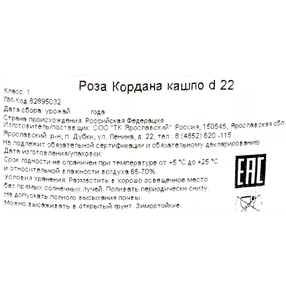 Роза Кордана в кашпо 22x22 см ✳️ купить по цене 1295 ₽/шт. во Владикавказе  с доставкой в интернет-магазине Леруа Мерлен