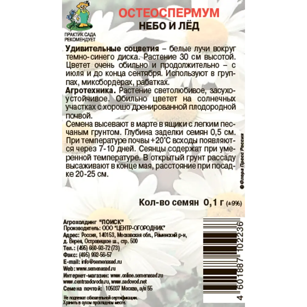 Остеоспермум Небо и лед 0.1 г ✳️ купить по цене 27 ₽/шт. в Москве с  доставкой в интернет-магазине Леруа Мерлен