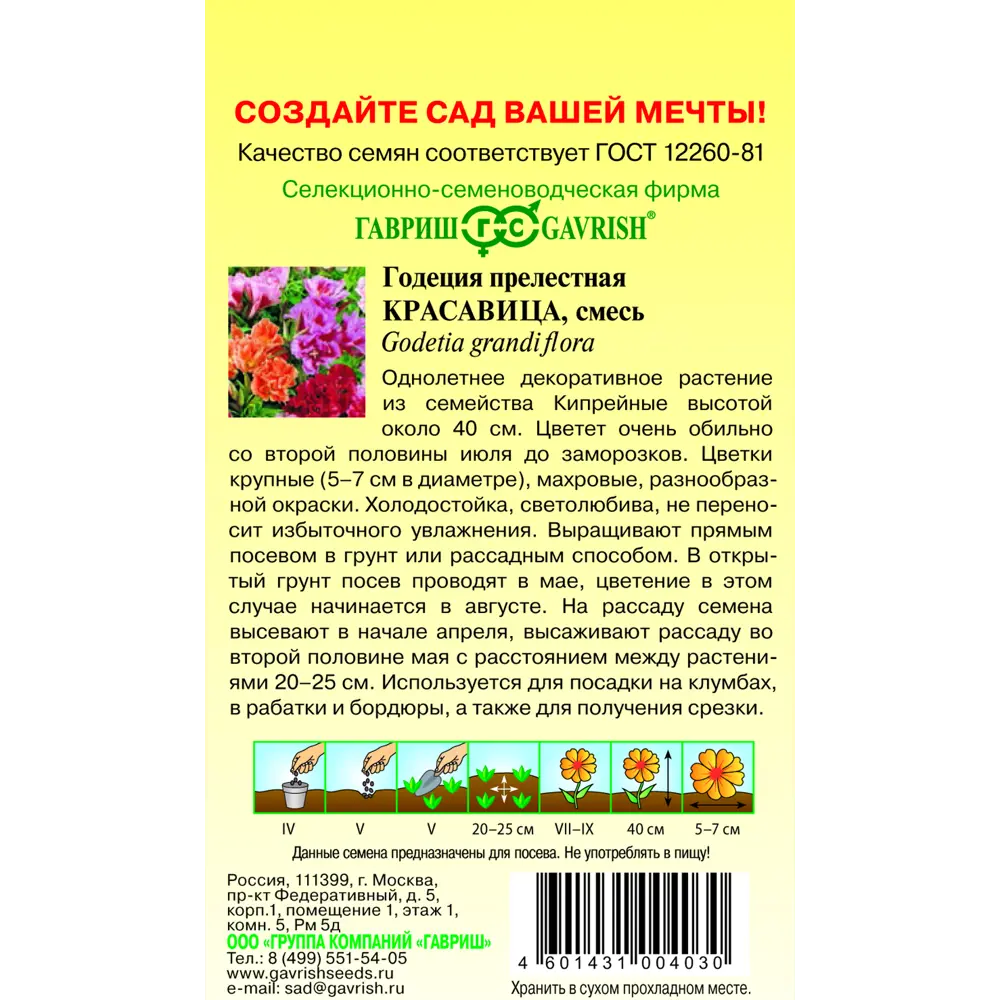 Годеция Красавица махровая смесь 0.3 г ✳️ купить по цене 27 ₽/шт. в Москве  с доставкой в интернет-магазине Леруа Мерлен