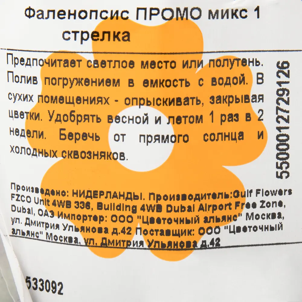 Орхидея Фаленопсис промо ø12 h40 - 55 см ✳️ купить по цене 1138 ₽/шт. в  Казани с доставкой в интернет-магазине Лемана ПРО (Леруа Мерлен)