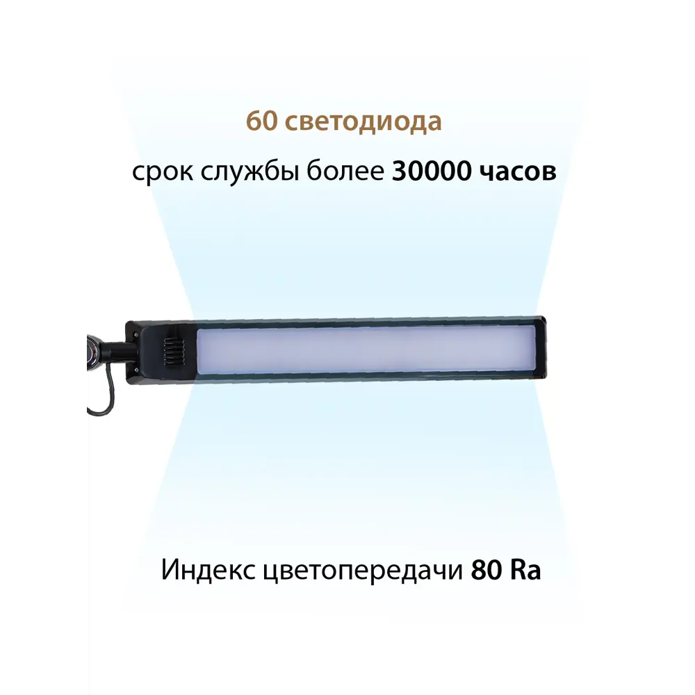 Настольная лампа светодиодная NATIONAL National NL-75LED black изменение  оттенков белого цвет чёрный ✳️ купить по цене 3490 ₽/шт. в Сургуте с  доставкой в интернет-магазине Леруа Мерлен