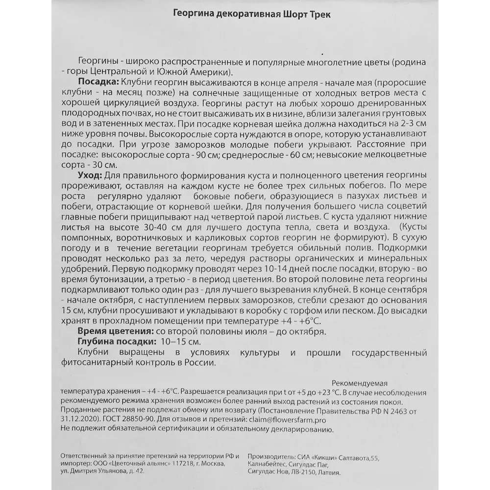 Георгина декоративная Шорт Трек 1 шт. ✳️ купить по цене 50 ₽/шт. в Москве с  доставкой в интернет-магазине Леруа Мерлен