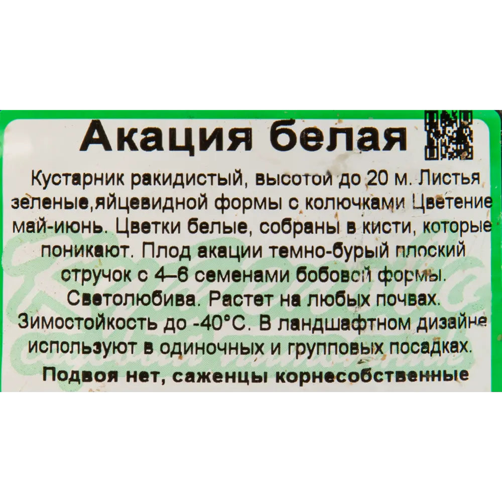 Акация белая, 2 года, 25 л по цене 377 ₽/шт. купить в Клину в  интернет-магазине Леруа Мерлен