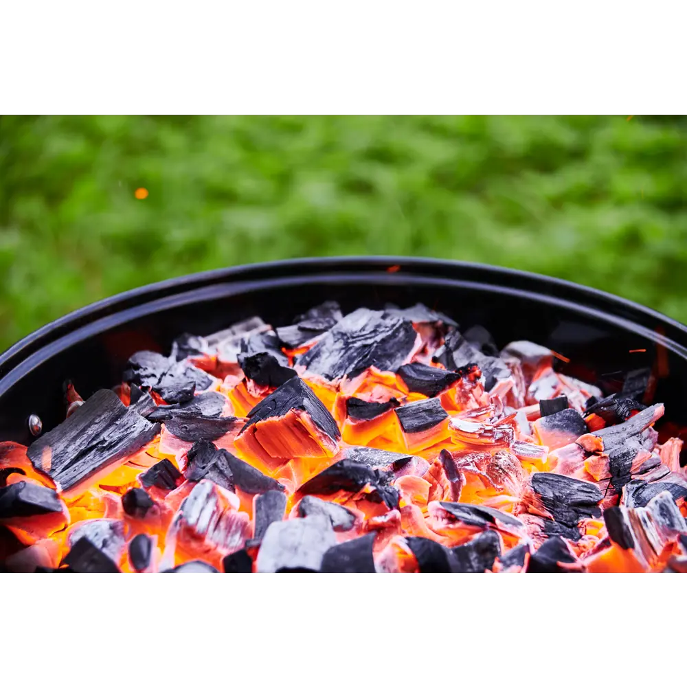 Уголь древесный берёзовый Grillkoff, 5 кг. – купить в Нижнем Новгороде по  низкой цене | Леруа Мерлен