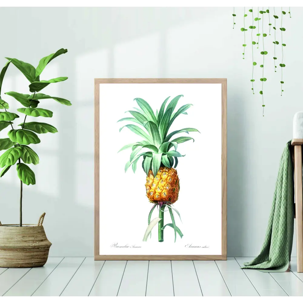 Фото Раскраска ананас, более 23 качественных бесплатных стоковых фото