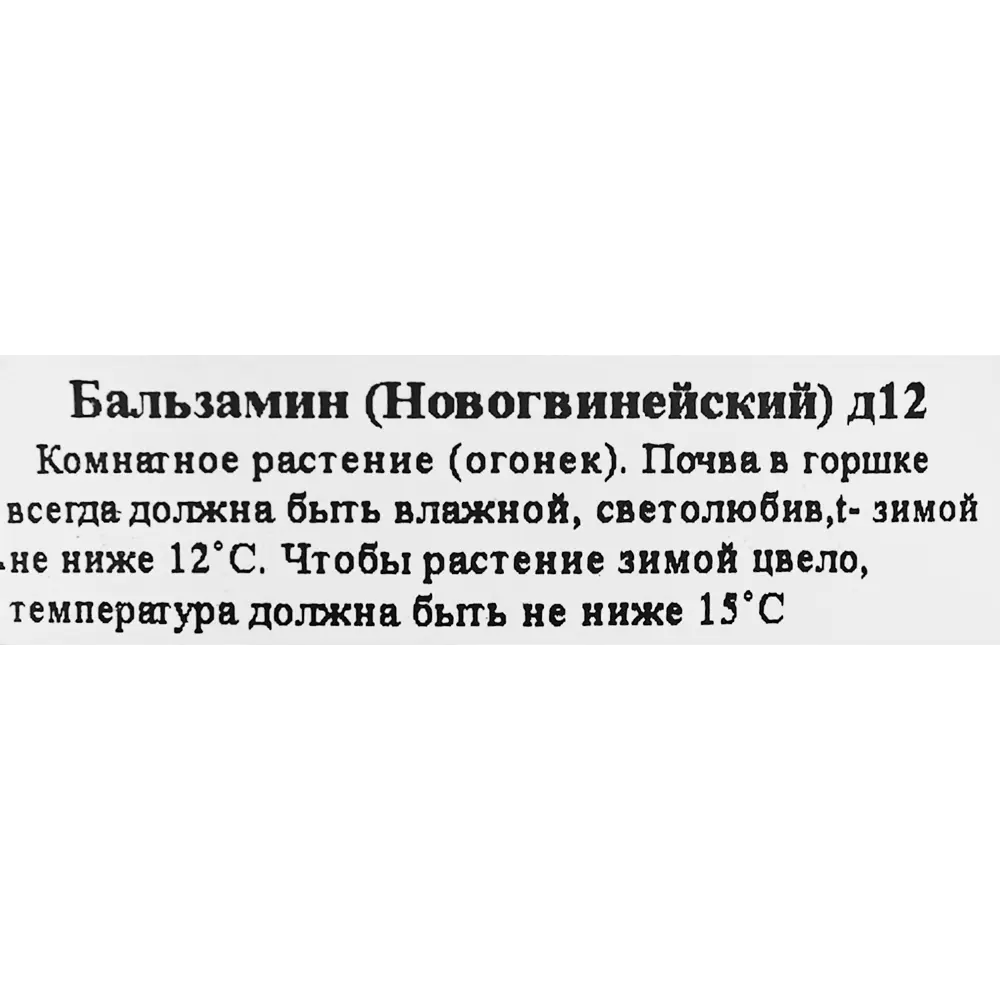 Бальзамин ø12 h25 см ✳️ купить по цене 434 ₽/шт. во Владикавказе с  доставкой в интернет-магазине Леруа Мерлен