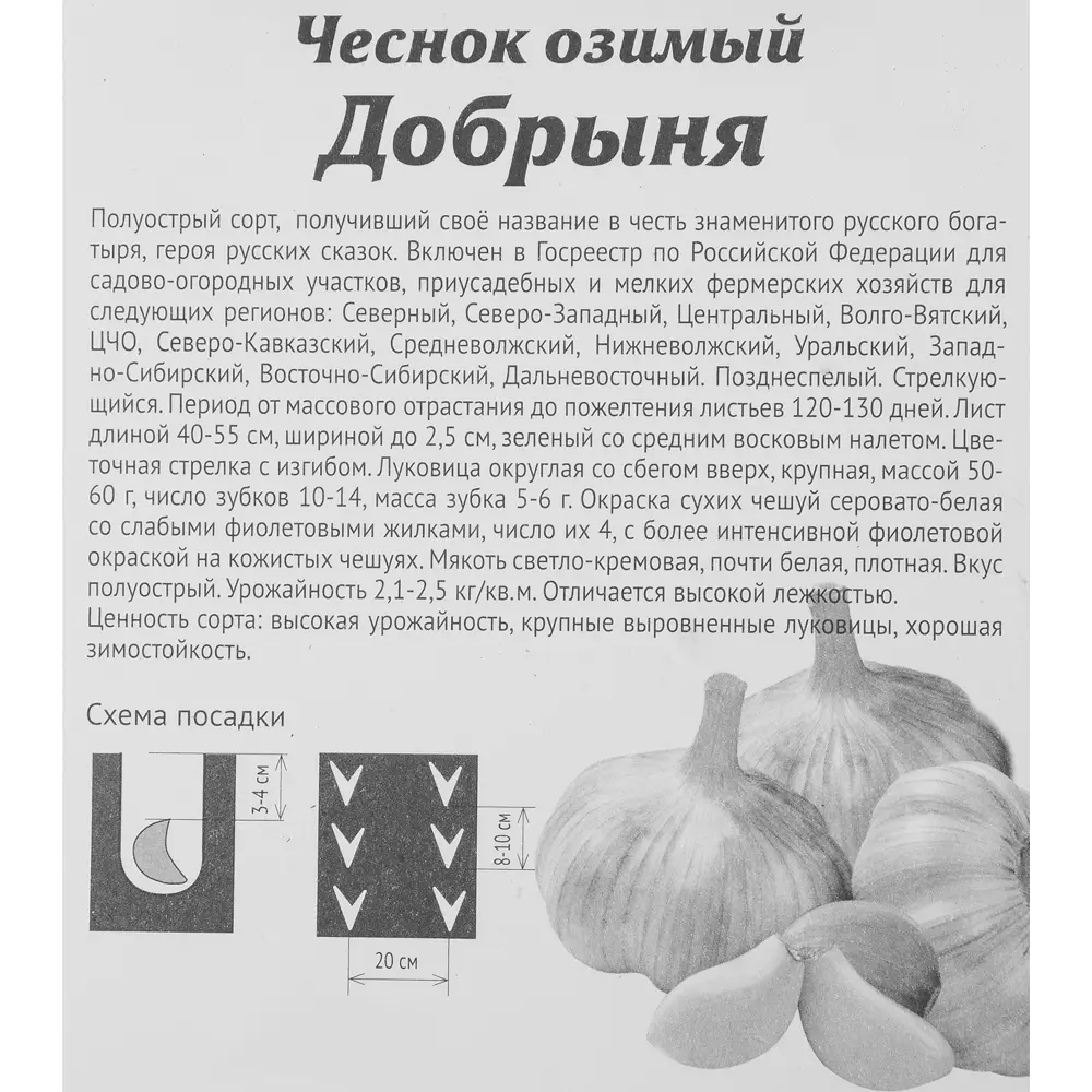 Чеснок озимый Добрыня 7 шт АСТ ✳️ купить по цене 377 ₽/шт. в Саратове с  доставкой в интернет-магазине Леруа Мерлен