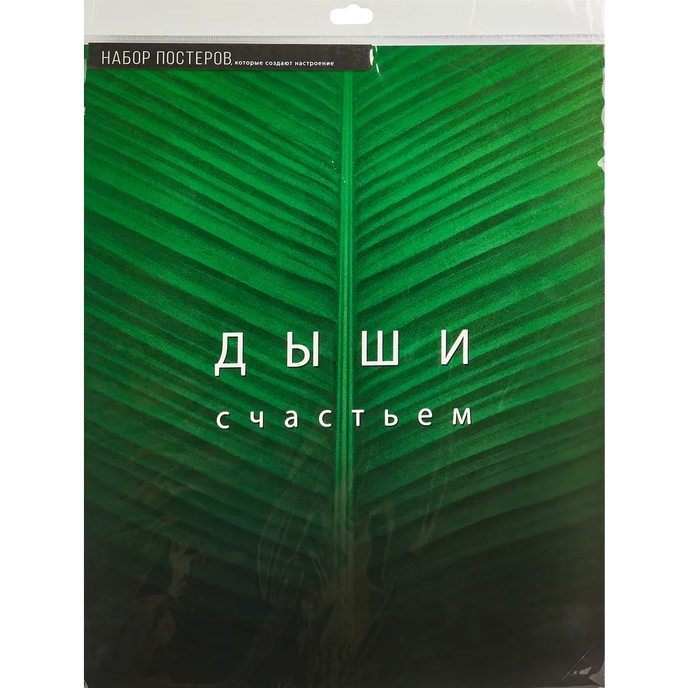 Постер Дыхание 39x49 см 2 шт. ✳️ купить по цене 168 ₽/шт. в Рязани с  доставкой в интернет-магазине Леруа Мерлен