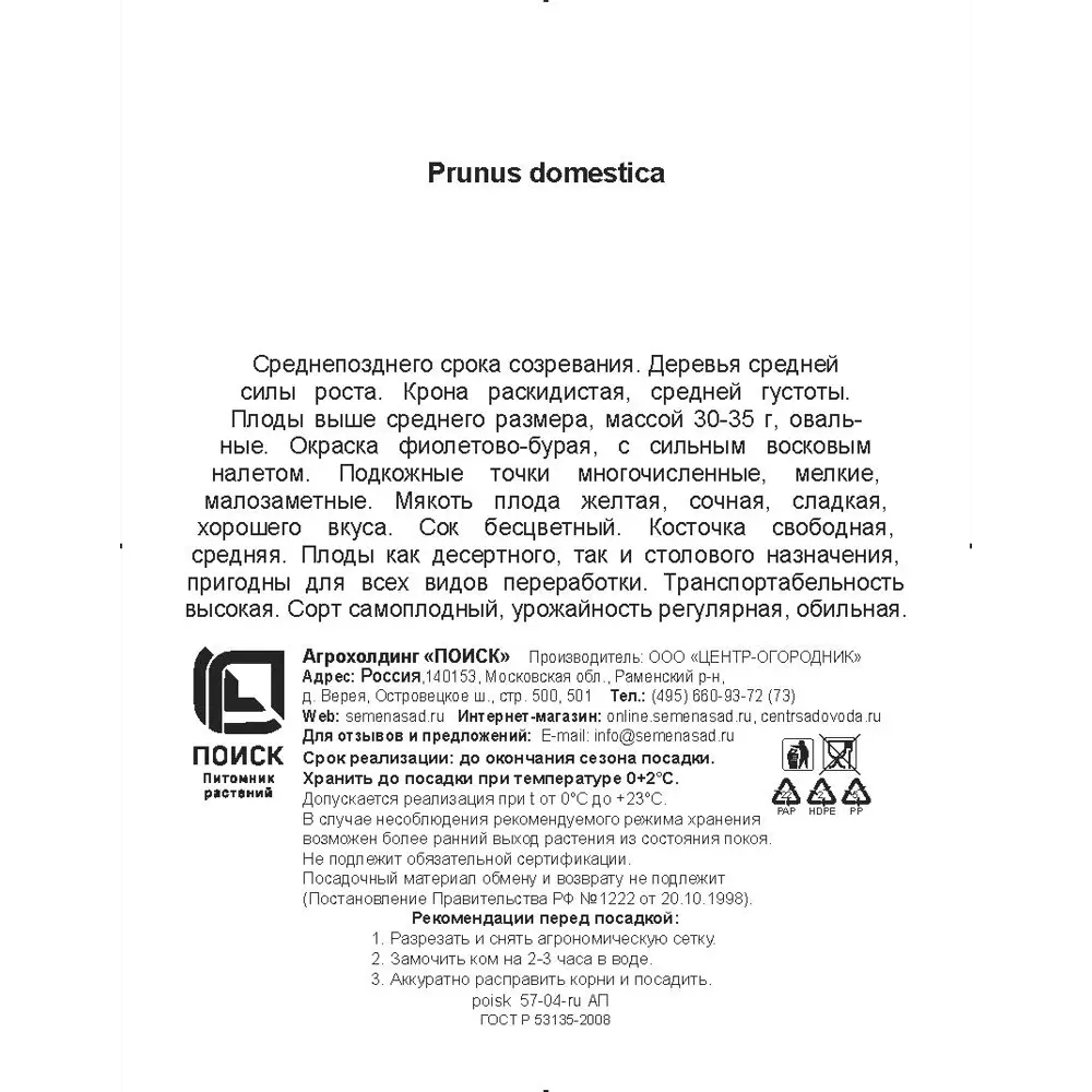 Слива Венгерка Корнеевская h200 см Поиск Инвест ✳️ купить по цене 755 ₽/шт.  в Архангельске с доставкой в интернет-магазине Леруа Мерлен