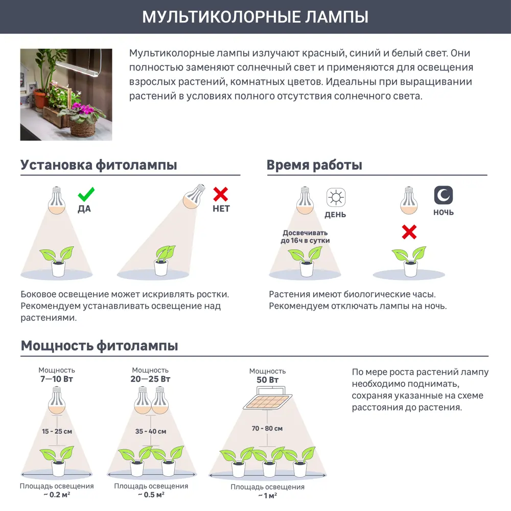 Calaméo - Ярко солнце над тобою светит