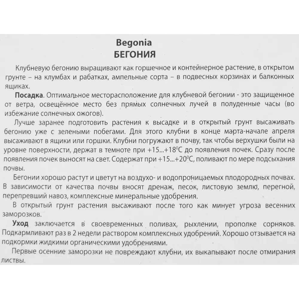 Почему у бегонии сохнут листья по краям? | выращивание, уход, размножение растений