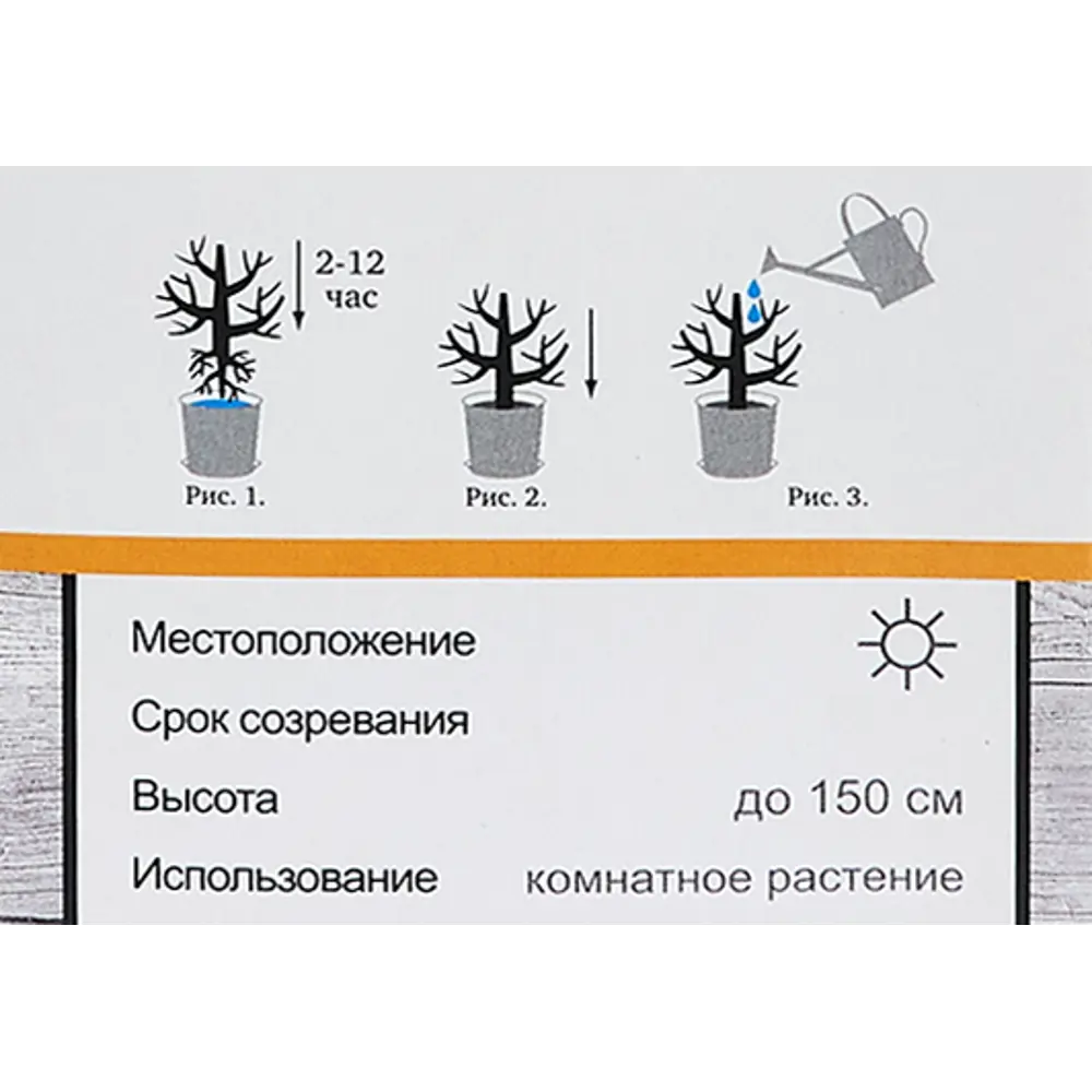 Инжир Айс Кристал h40 см ✳️ купить по цене 677 ₽/шт. в Ставрополе с  доставкой в интернет-магазине Леруа Мерлен