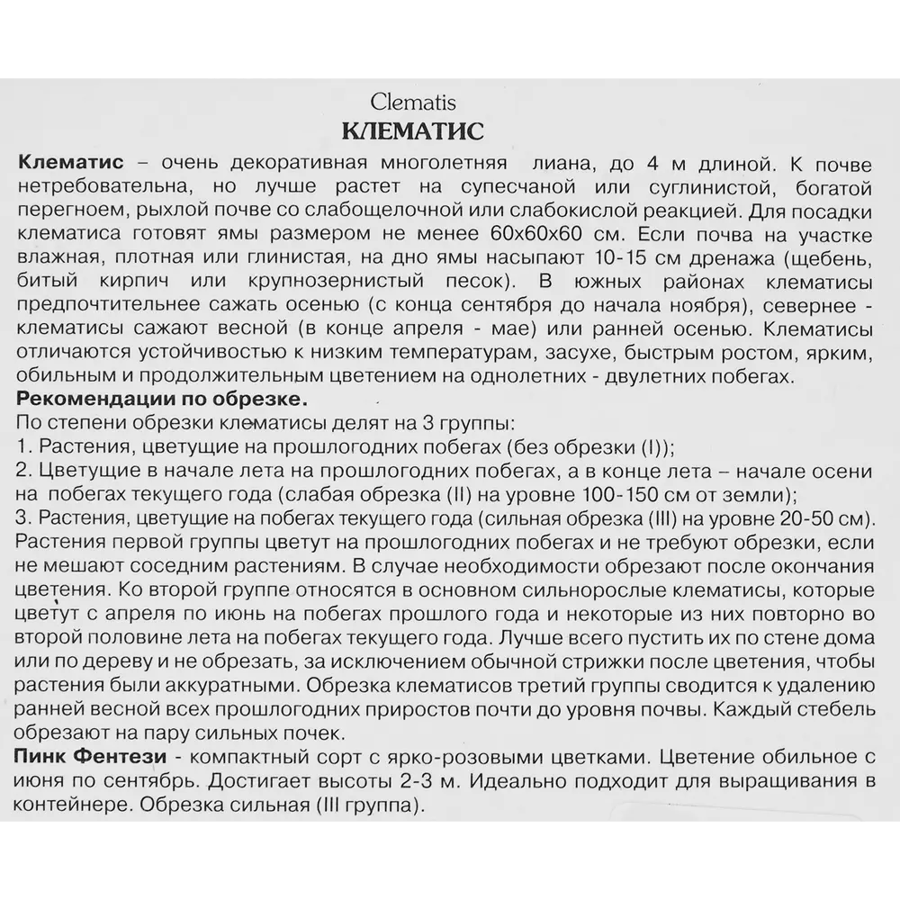 Клематис крупноцветковый Пинк Фентези h200 см ✳️ купить по цене 633 ₽/шт. в  Екатеринбурге с доставкой в интернет-магазине Леруа Мерлен