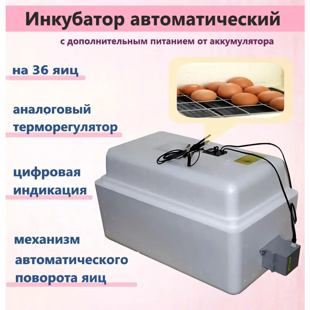 Терморегулятор цифровой автомат В/12В №11