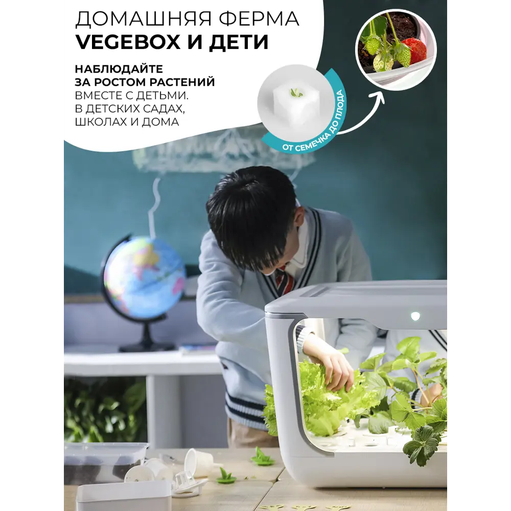 Домашняя садовая ферма L-Box Vegebox пластик белый ✳️ купить по цене 25795  ₽/шт. в Кирове с доставкой в интернет-магазине Леруа Мерлен