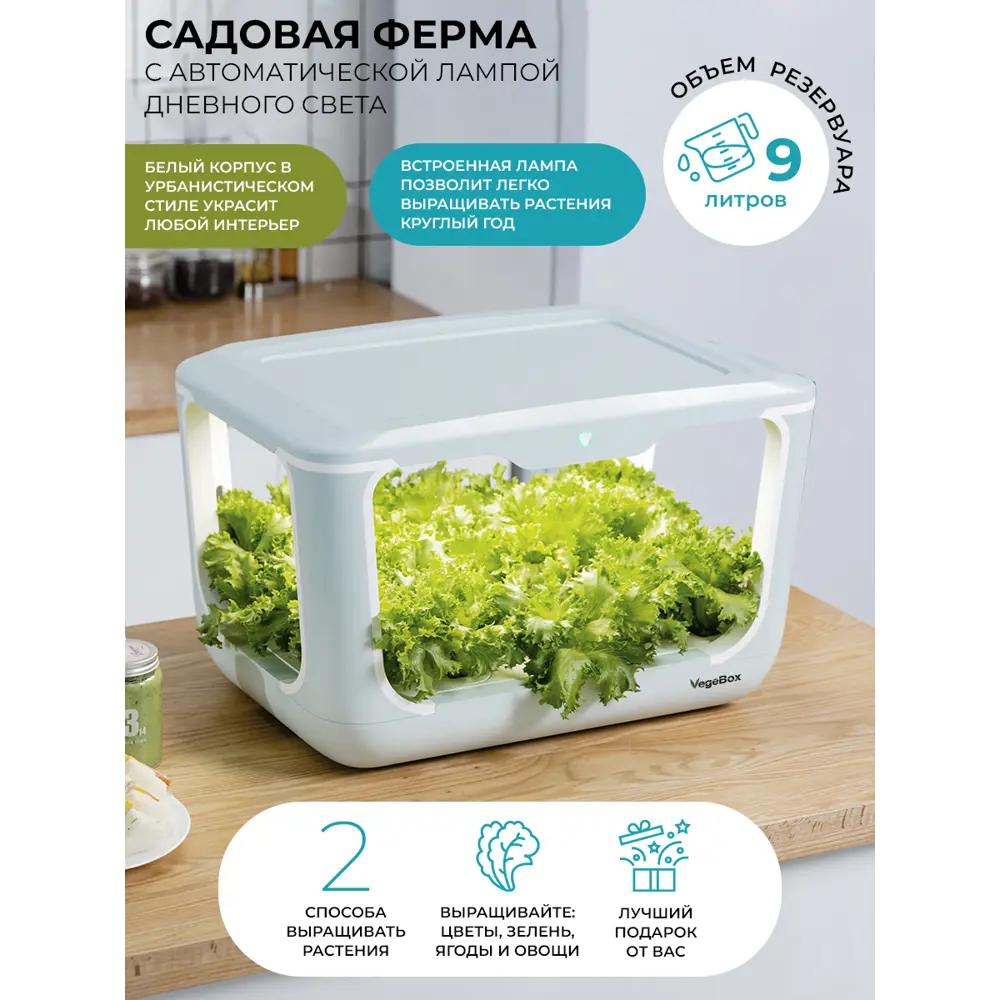 Домашняя садовая ферма L-Box Vegebox пластик белый ✳️ купить по цене 25795  ₽/шт. в Ростове-на-Дону с доставкой в интернет-магазине Леруа Мерлен