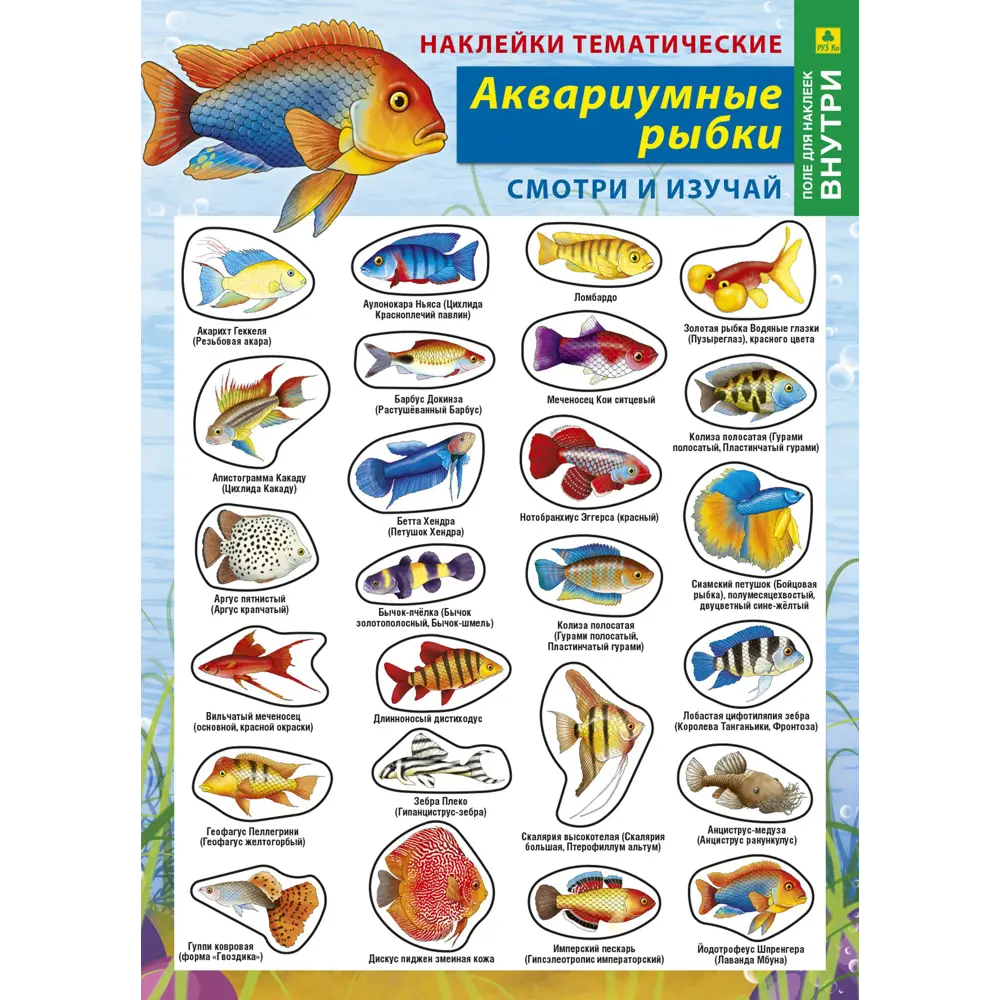 Аквариумные рыбки названия. Аквариумные рыбы для детей с названиями. Аквариумные рыбки с названиями для детей. Аквариумные рыбы названия. Аквариумные рыбы для детей