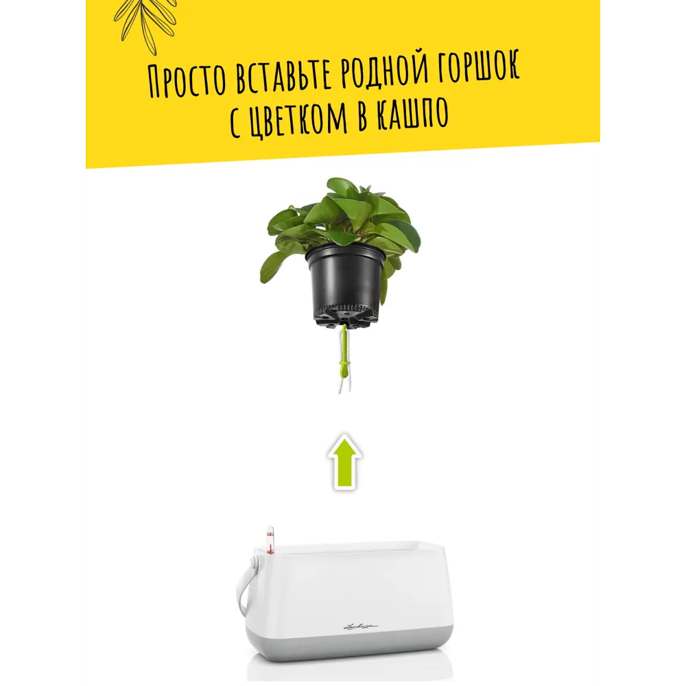 Корзинка настольная для растений с автополивом Lechuza Yula 13891 ✳️ купить  по цене 3820 ₽/шт. в Пензе с доставкой в интернет-магазине Лемана ПРО  (Леруа Мерлен)