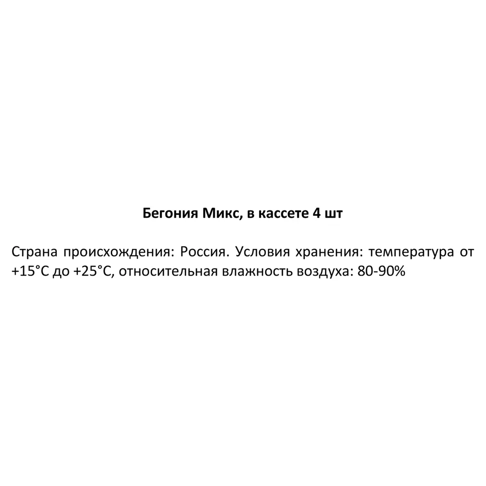 Бегония клубневая 'Нонстоп Мокка Пинк Шейдс' (розовый, темный лист)