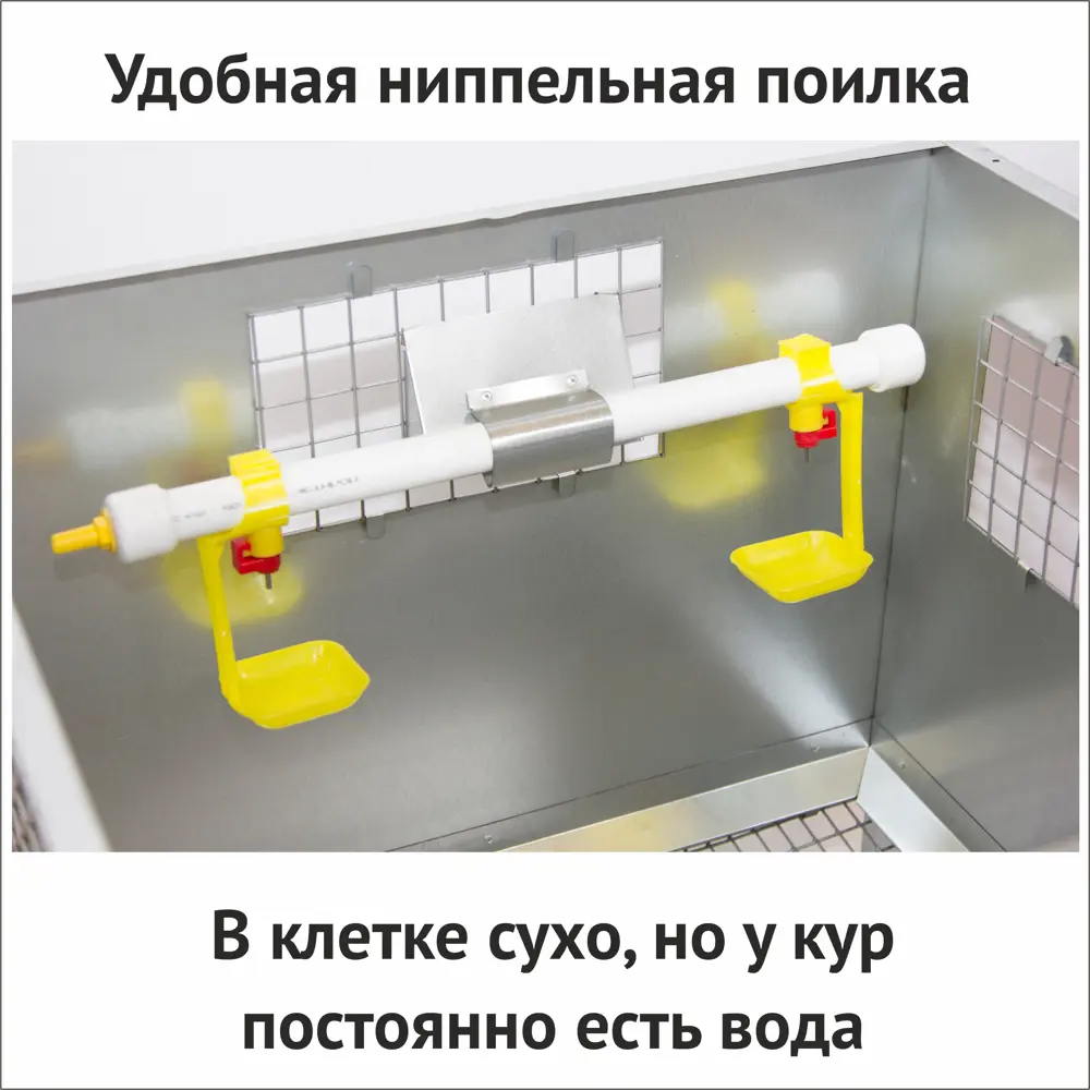 Поилки для птиц купить в Москве.