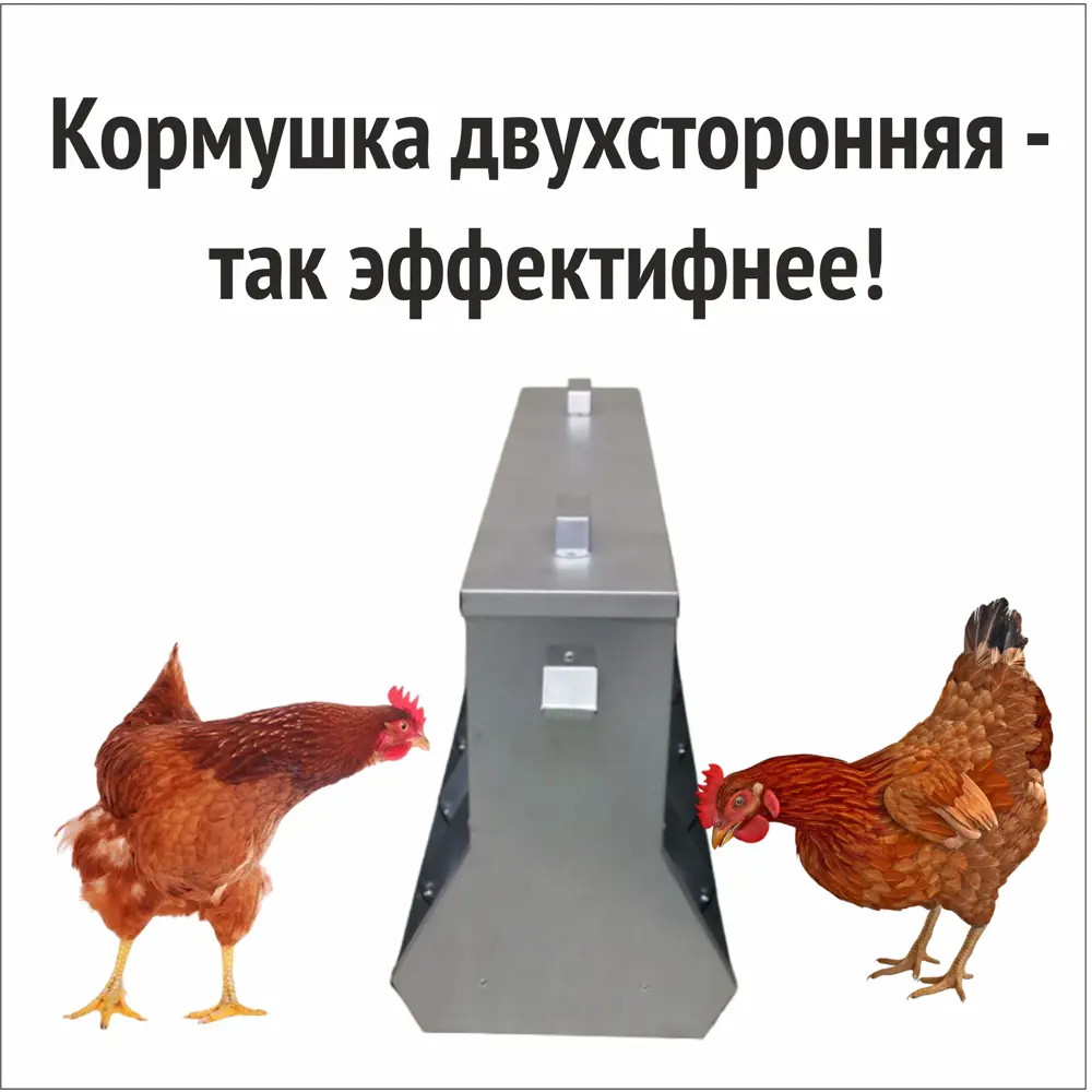 Бункерная напольная кормушка для кур и цыплят 10 л.