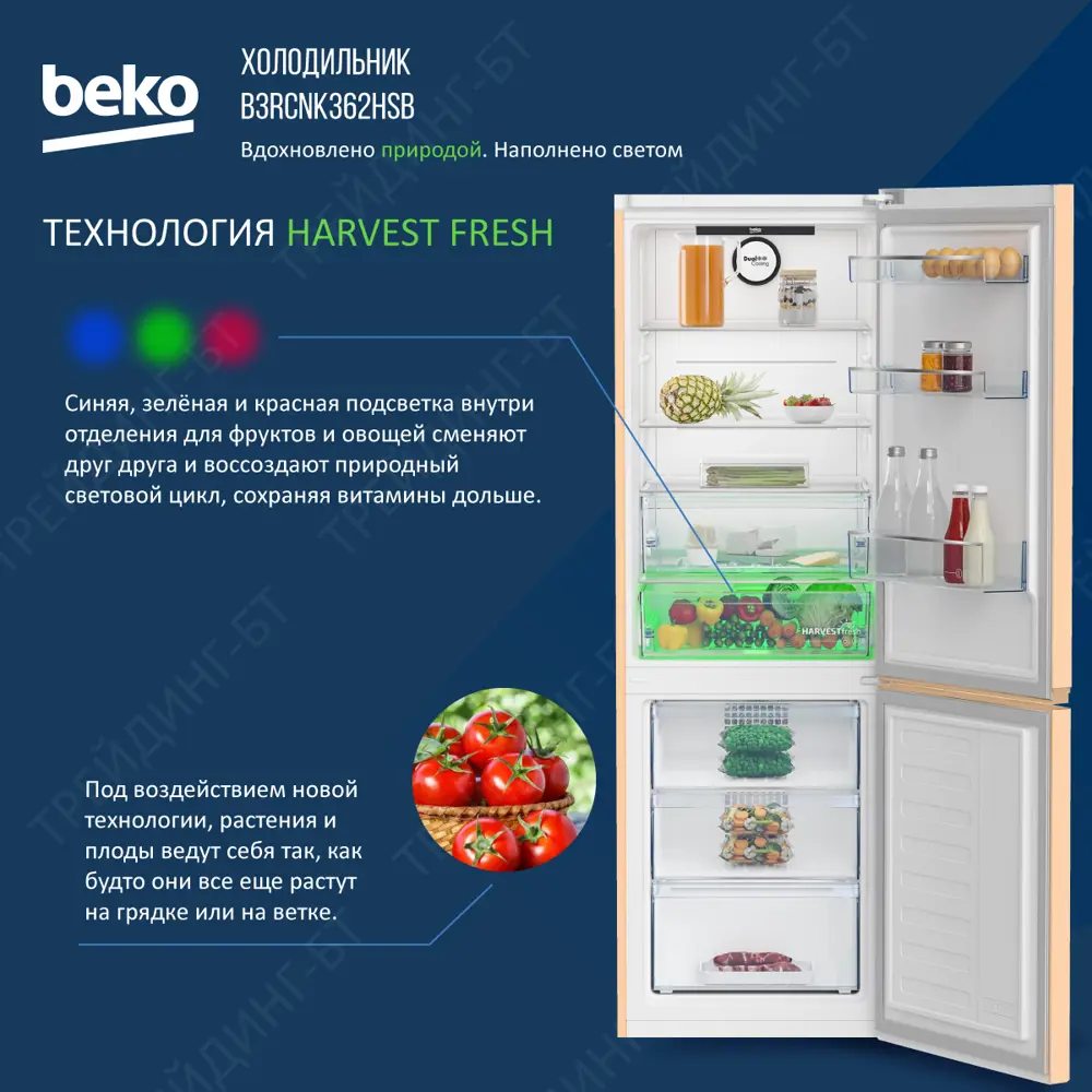 Отдельностоящий холодильник Beko B3RCNK362HSB 59.5x186 см цвет бежевый с  розовым оттенком ✳️ купить по цене 42990 ₽/шт. в Твери с доставкой в  интернет-магазине Леруа Мерлен