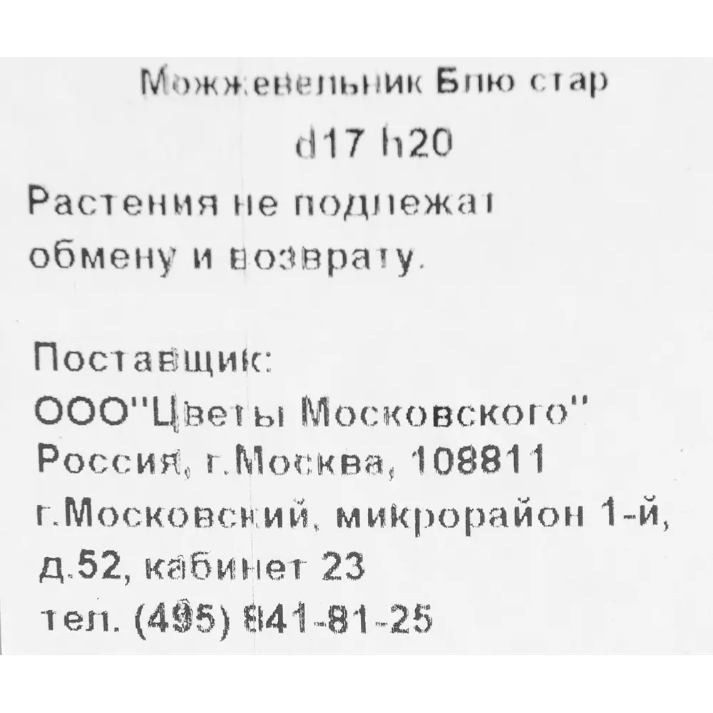 Можжевельник «Блю стар»13x15 см ✳️ купить по цене 777 ₽/шт. в Москве с  доставкой в интернет-магазине Леруа Мерлен