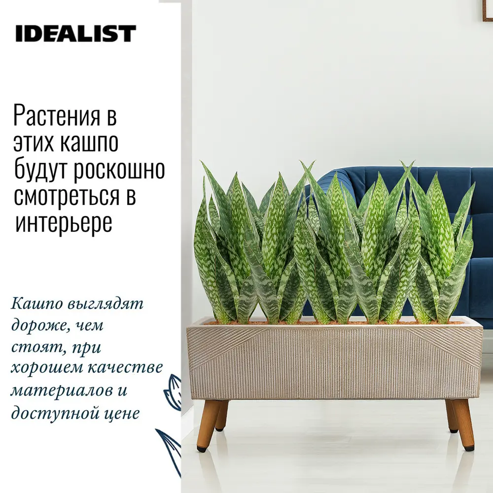 Кашпо Урбан на ножках прямоугольное Idealist lite 15 см 27 см 17 л  искусственный камень бежевый на ножках ✳️ купить по цене 6555 ₽/шт. в  Ижевске с доставкой в интернет-магазине Леруа Мерлен