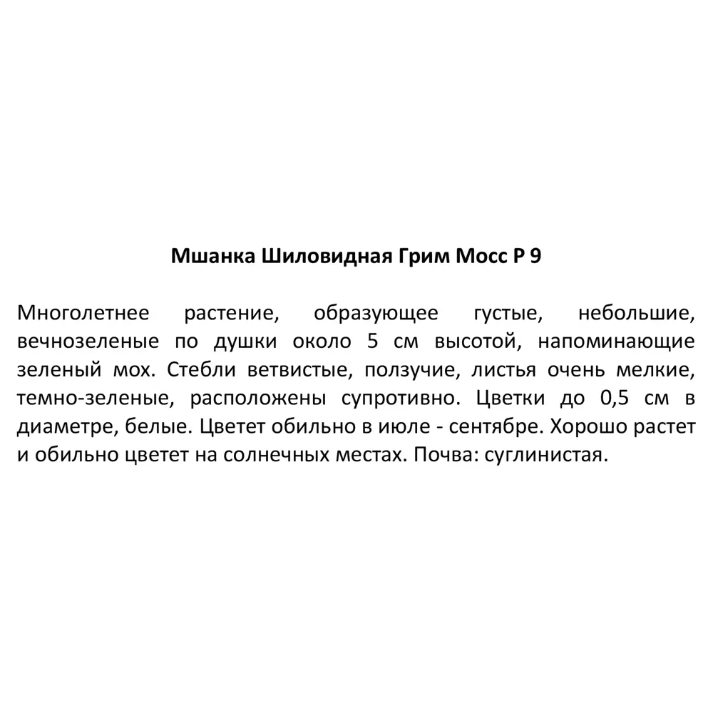 Мшанка шиловидная микс ø9 h30 см ✳️ купить по цене 377 ₽/шт. в Краснодаре с  доставкой в интернет-магазине Леруа Мерлен