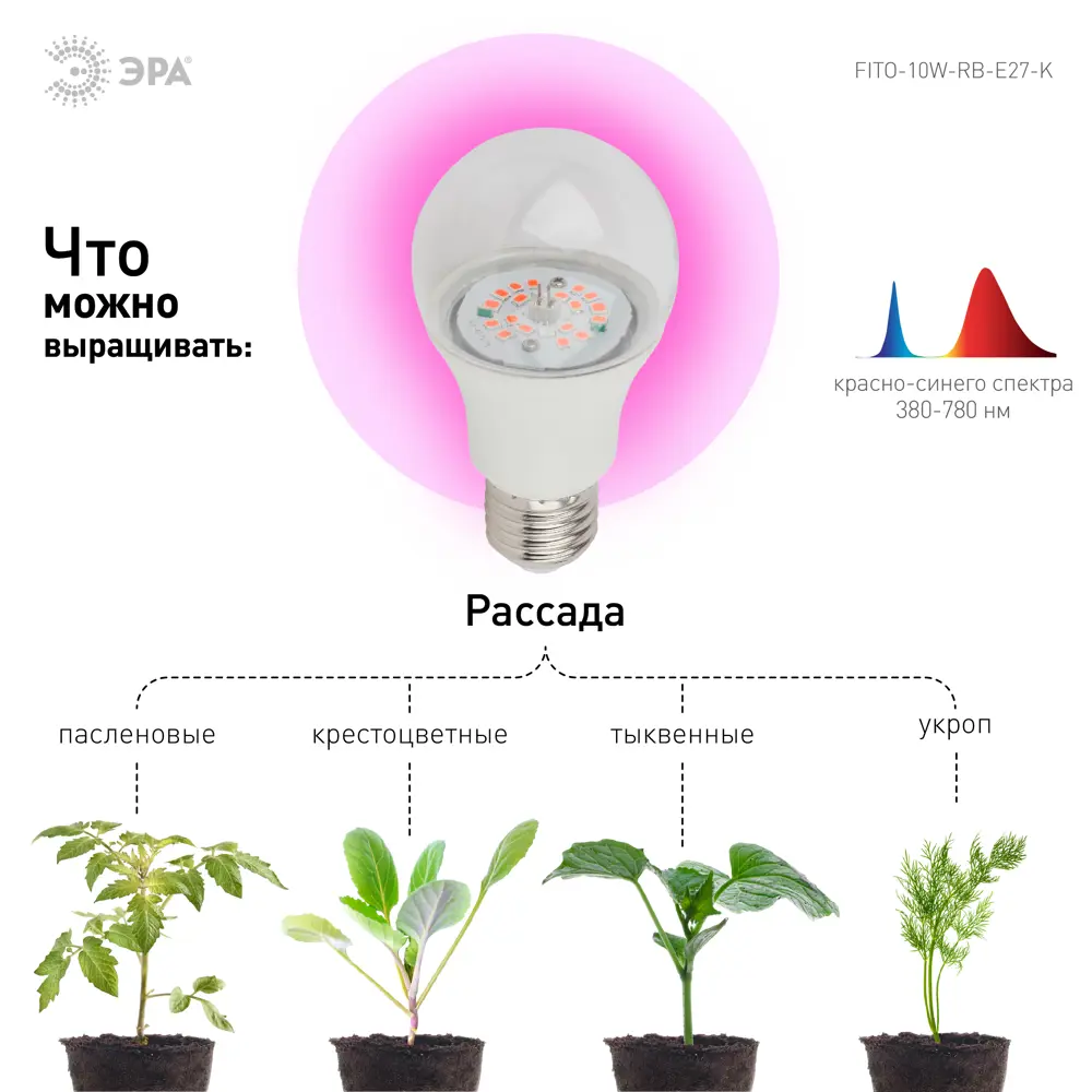 Фитолампа светодиодная для растений Эра E27 220 В 10 Вт 300 лм груша  красно-синий спектр розовый свет ✳️ купить по цене 142 ₽/шт. в Москве с  доставкой ...