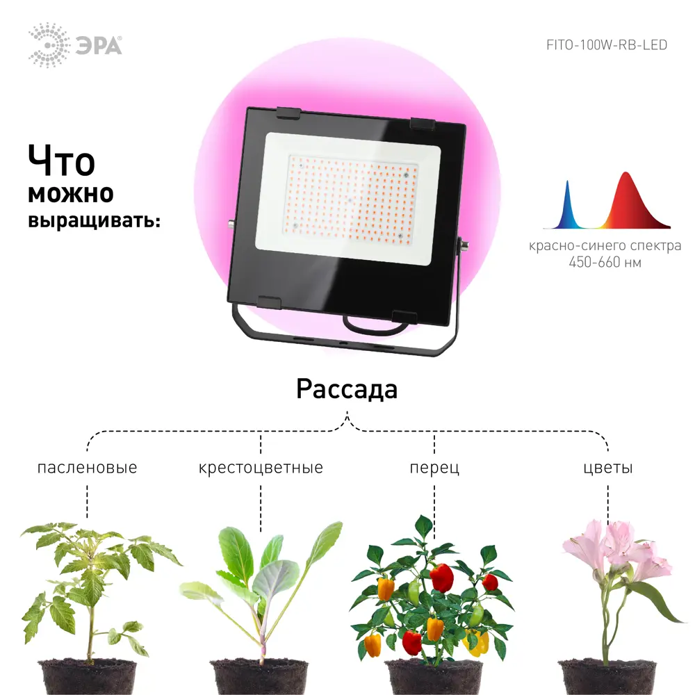 Прожектор светодиодный для растений Эра 100 Вт 1500К IP65 красно-синий  спектр розовый свет влагостойкий ✳️ купить по цене 2780 ₽/шт. в Москве с  доставкой в интернет-магазине Леруа Мерлен