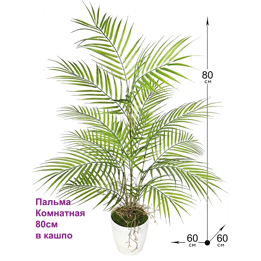 Искусственная Пальма комнатная 80 см в кашпо ФитоПарк ✳️ купить по цене  3300 ₽/шт. в Новороссийске с доставкой в интернет-магазине Леруа Мерлен