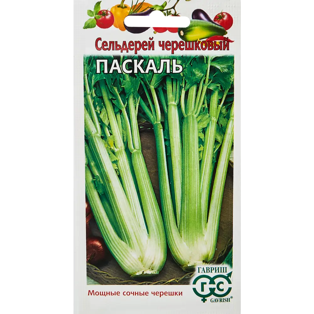 Сельдерей черешковый паскаль. Сельдерей Юта черешковый 0,3 г. Семена. Сельдерей черешковый. Сельдерей Паскаль черешковый. Семена сельдерей черешковый "Паскаль".