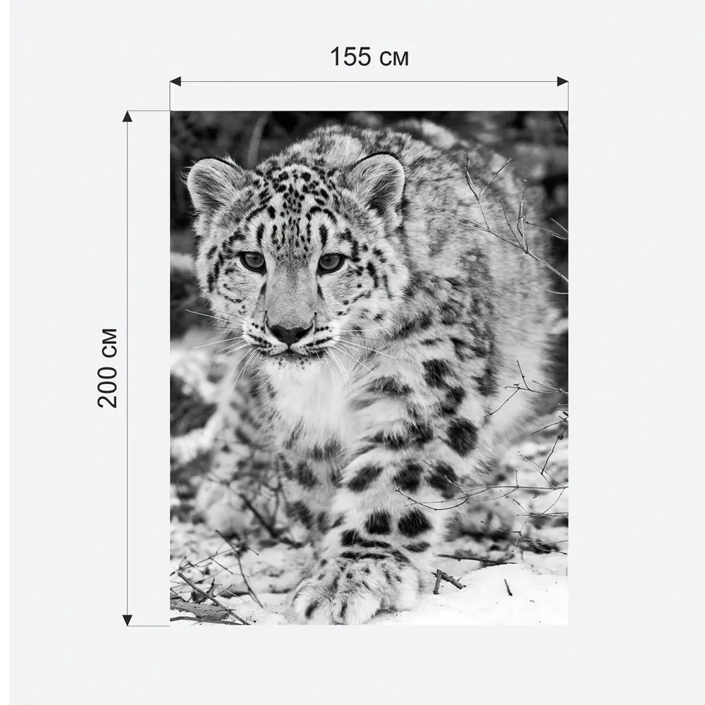 Бумажные фотообои бесшовные 3D Verol Снежный барс 3.1 м2. 200x155 см..  плотность 115 г/м ✳️ купить по цене 1300 ₽/шт. в Ставрополе с доставкой в  интернет-магазине Леруа Мерлен