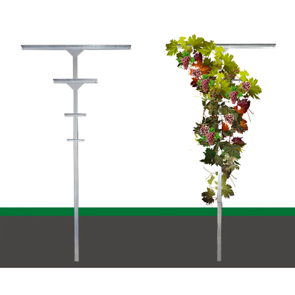 Шпалеры для винограда: виды и свойства | Блог