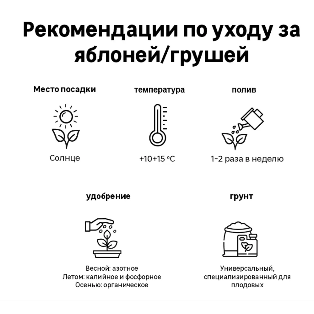 Яблоня «Медок» C4 высота 110 см ✳️ купить по цене 317 ₽/шт. в Москве с  доставкой в интернет-магазине Леруа Мерлен