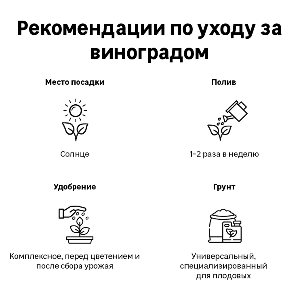 Виноград пятилисточковый Партеноциссус в тубе Поиск инвест ✳️ купить по  цене 298 ₽/шт. в Уфе с доставкой в интернет-магазине Леруа Мерлен